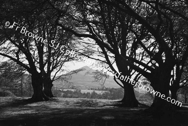 POWERSCOURT & GARDENS AT ANNAMORE HOTEL